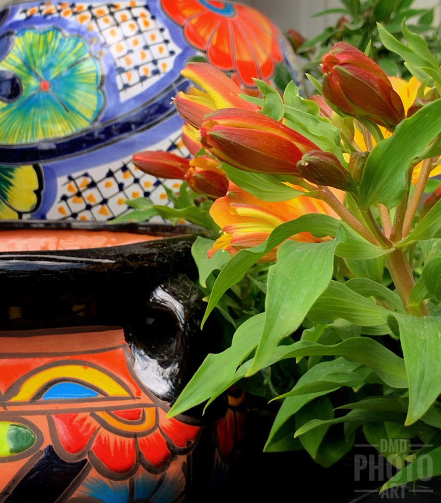 ~ ~ POTTERY BLOOMS ~ ~ 