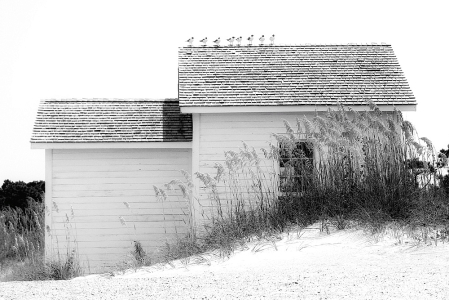 Dune Shed