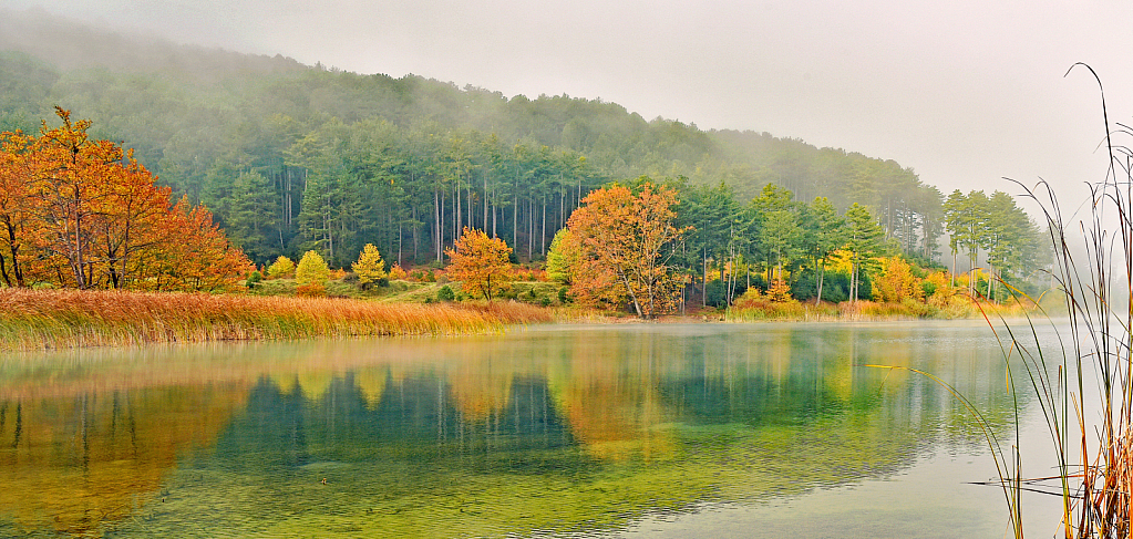 Autumnal Mood.