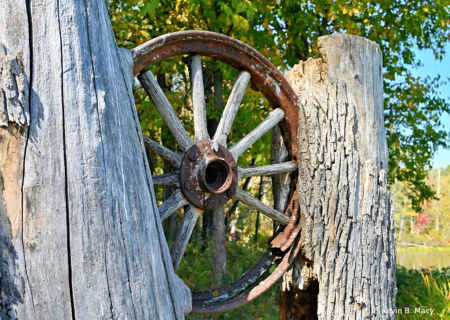 Wheel in Two Trees