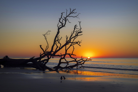 Sunrise at Driftwood