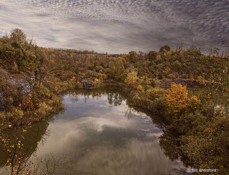 Autumn VIEW