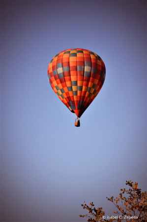 Hot air balloon