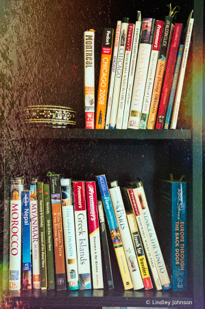 Travel Bookshelf