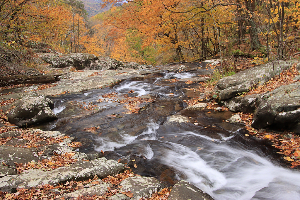 White Oak Canyon