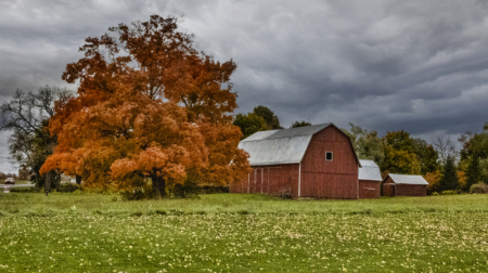 Stormy Day On The Farm