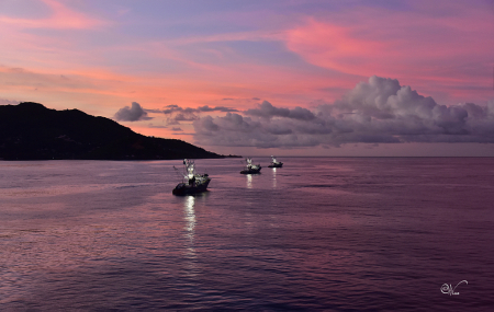 They leave the harbourg - nicht fishermen