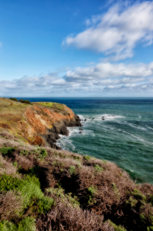 Coastal Winter