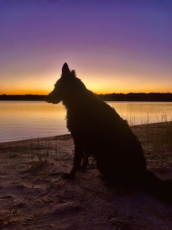 Morrigan at sunset