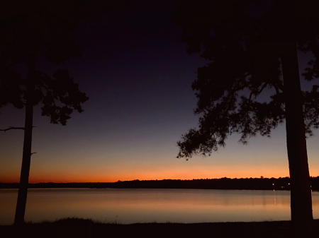 Framing Silhouettes 