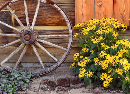 Wheel N Flowers