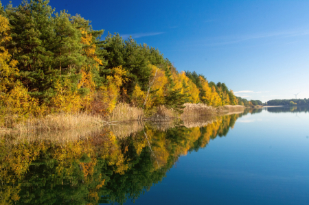 Reflections of the autumn