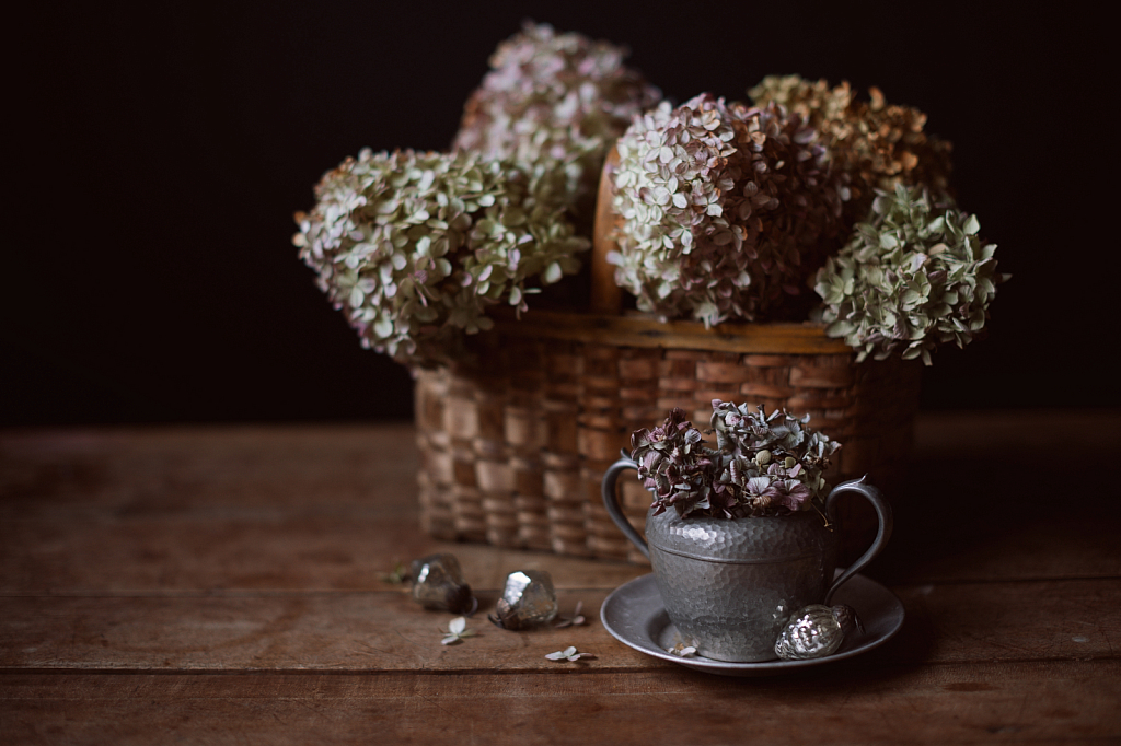 Hydrangeas