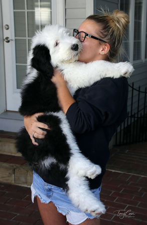 Happiness is a Warm Puppy