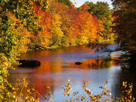 Color Along the River