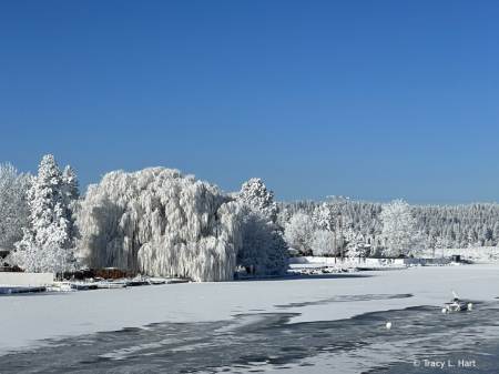 Winter on the River