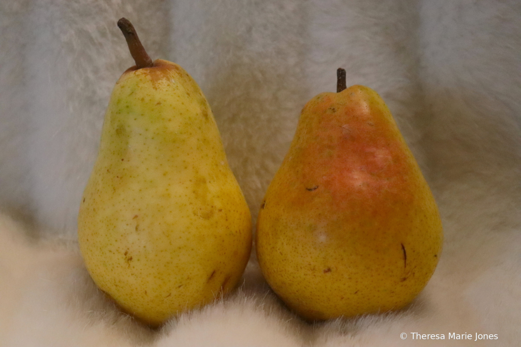 Pair of Pears