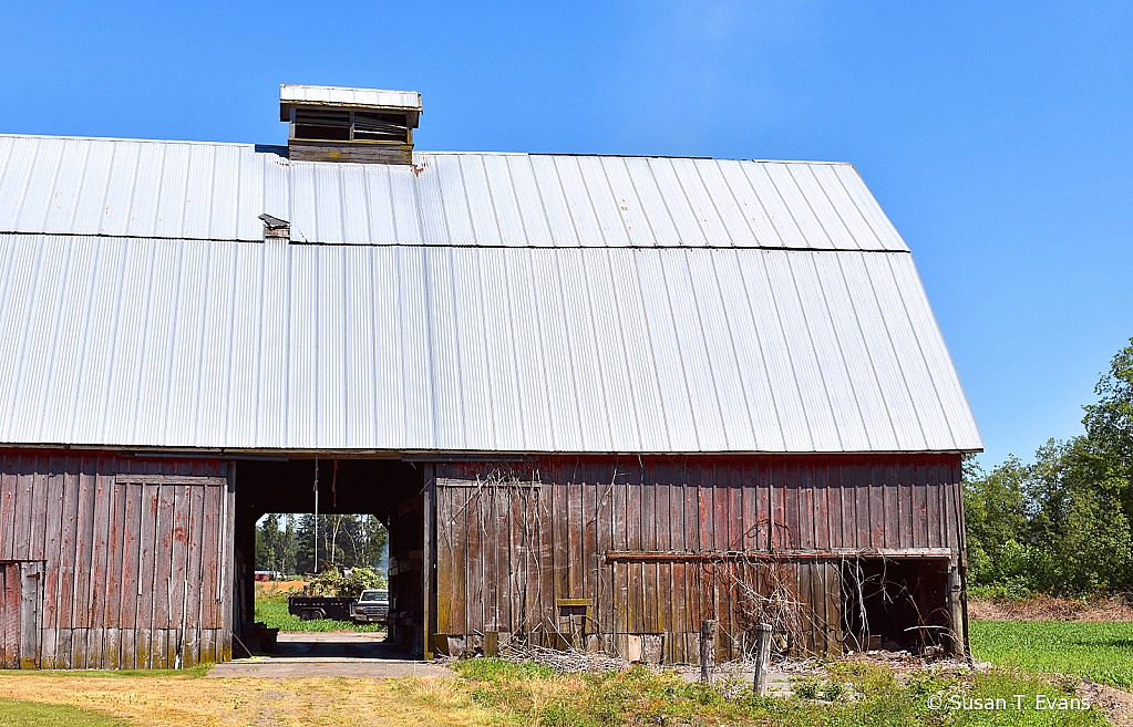 A Barn with a View