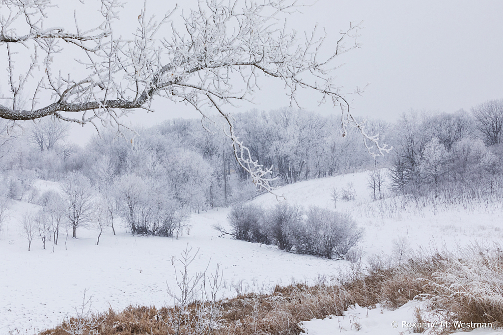 Snowy country drive in North Dakota