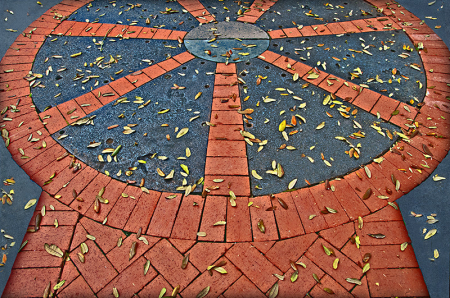 Walkway with Leaves