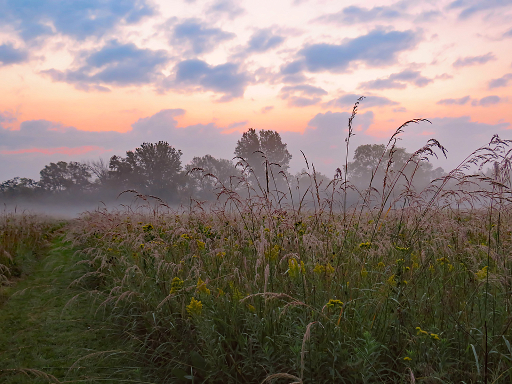 Sunrise At Prairie Park