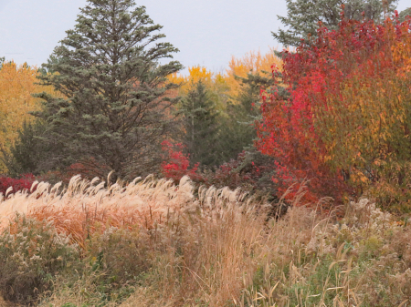 Autumn Palette