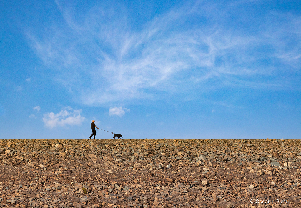 Dog Walk on the Dam