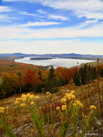 Fall landscape-New England