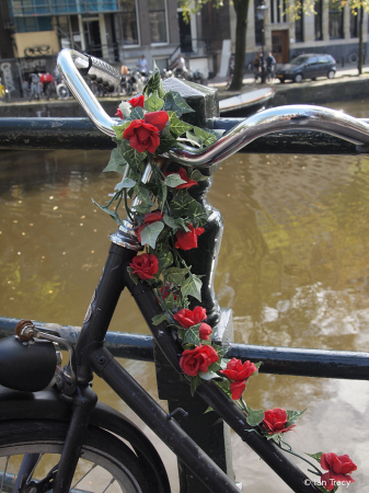Flowers on a bike-Holland