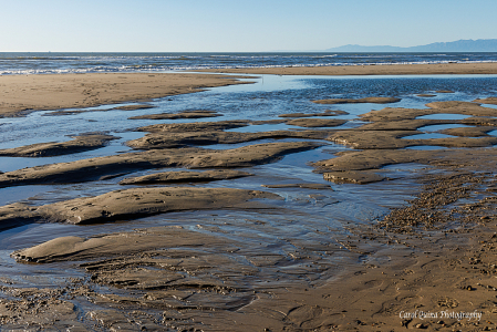 Low end of the King Tide