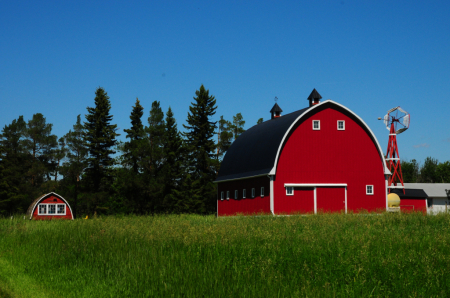 Big Red Barn and Baby!