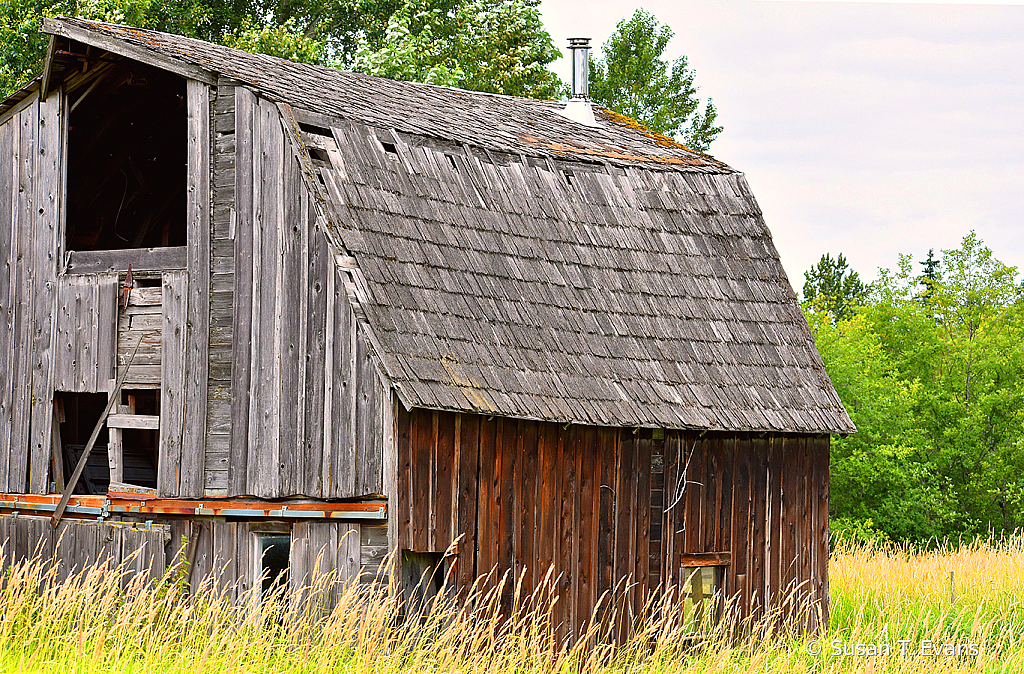 Old Grey Barn