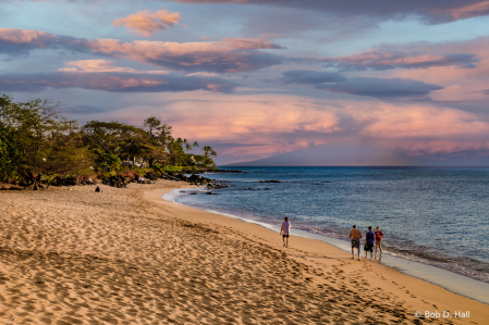 A Walk On The Beach