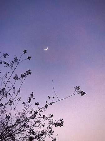 Jan New moon 