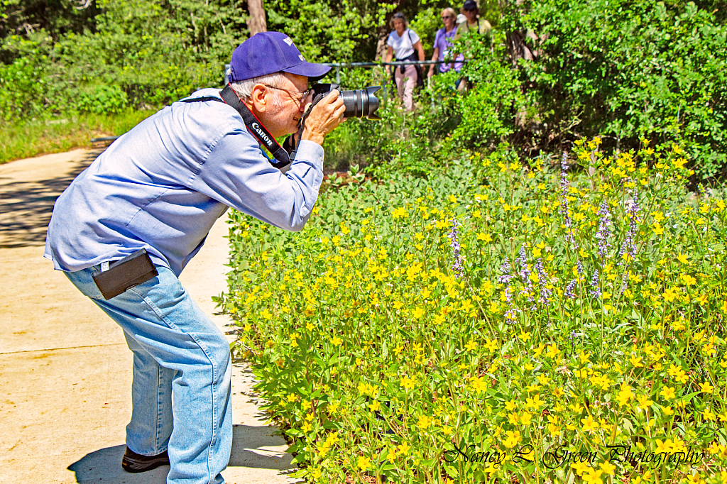 Getting That Shot