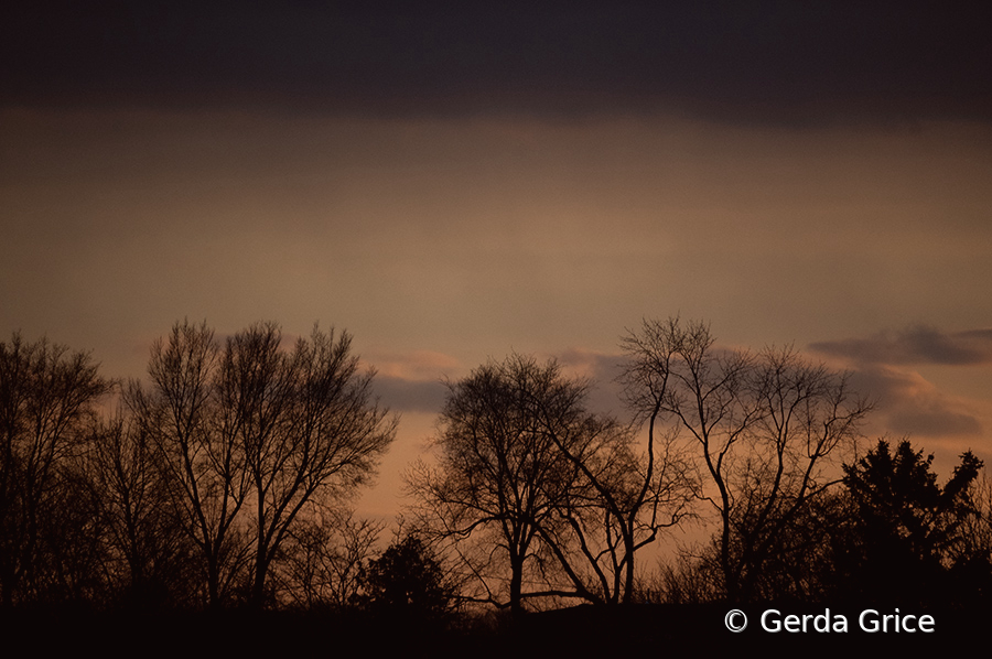 Dusk on a Winter's Day