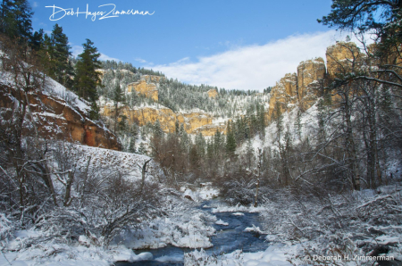 Downstream from Roughlock Falls in Snow