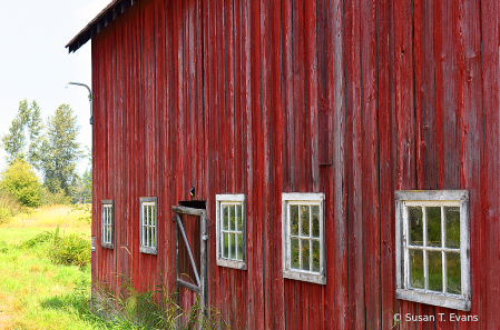 Five Windows and a Door