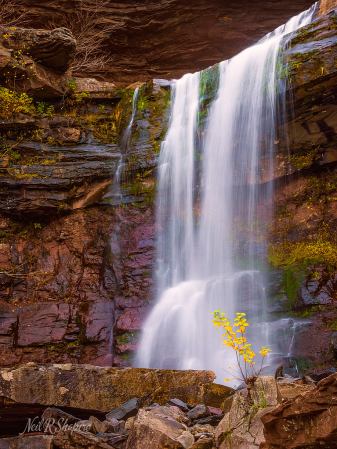 Katterskill - Lower Falls