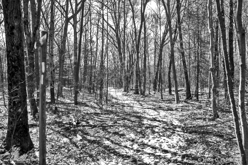 Spencer Crest Nature Center - BW