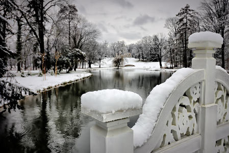 Lace Bridge