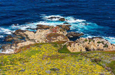 Colors of Land, Rocks and Sea