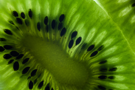 Kiwi Close-up