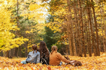 Enjoying the Autumn View