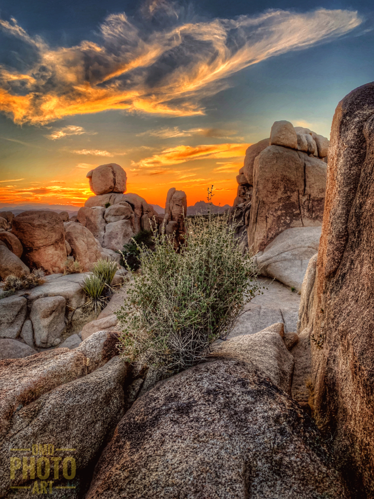 ~ ~ SUNSET IN THE DESERT ~ ~ 