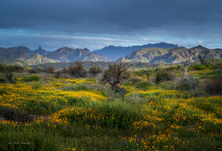 Superstition Spring