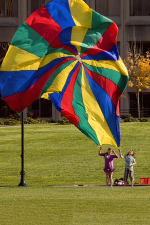 Go Fly a Kite