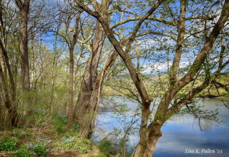 “Oh, Ye Spring Banks are a Bloom’n”