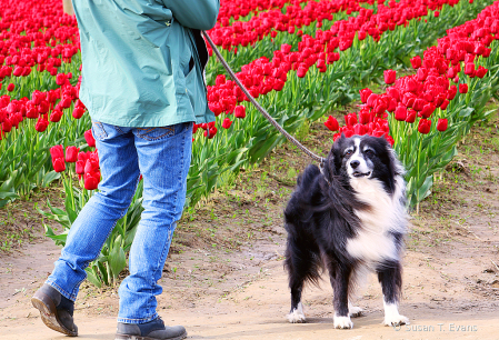 Best Friends at the Tulip Festival