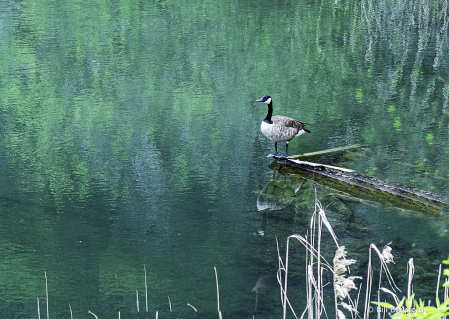 Standing Alone